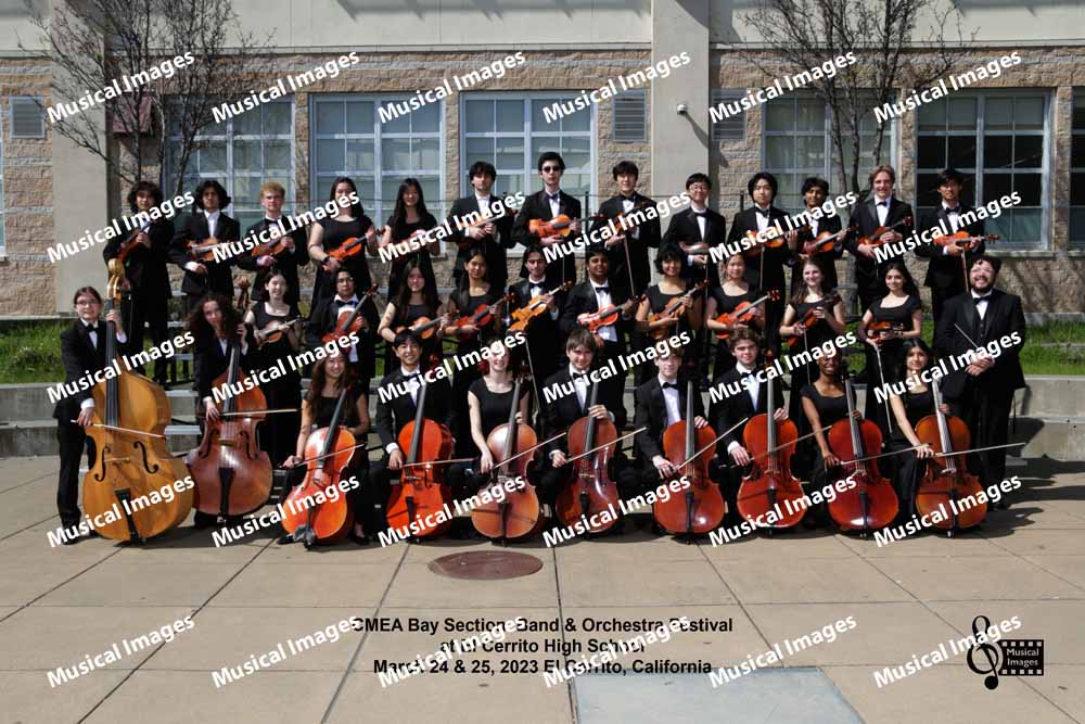 Musical Images